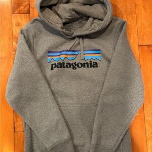 Patagonia Gray Hoodie Men’s or Women’s